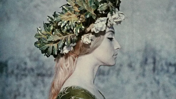 Second Run Portland: In Memoria, Tilda Swinton Has a Sonic Headache